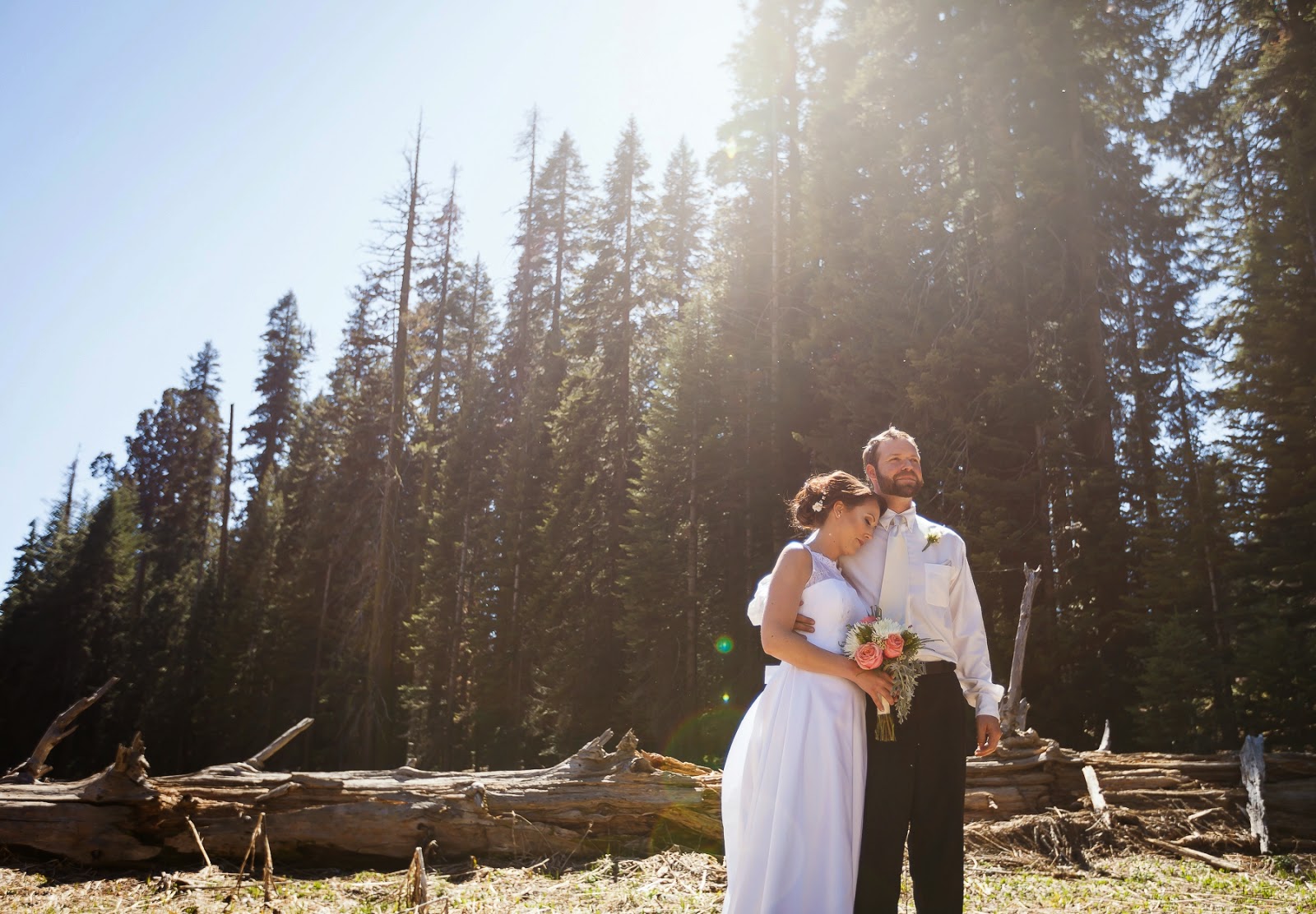 Trisha and James Intimate Sequoia Wedding Preview | Sequoia Wedding Photographer