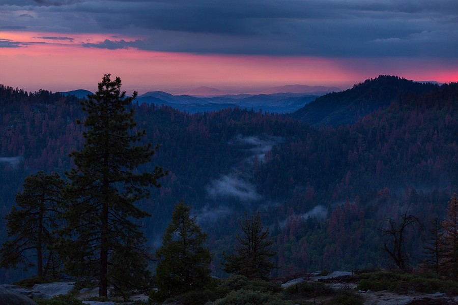 sequoia national park engagement