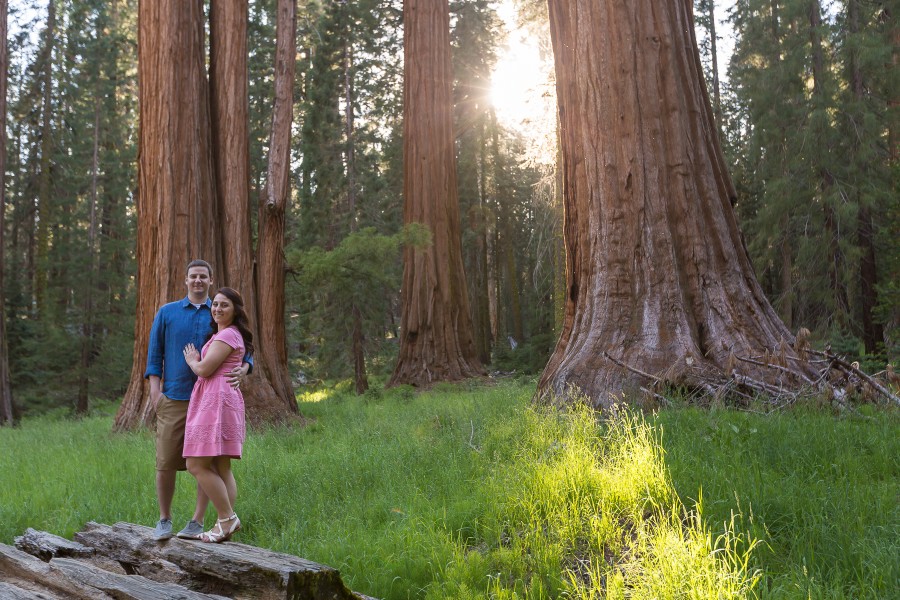 Sequoia National Park Engagement Shoot