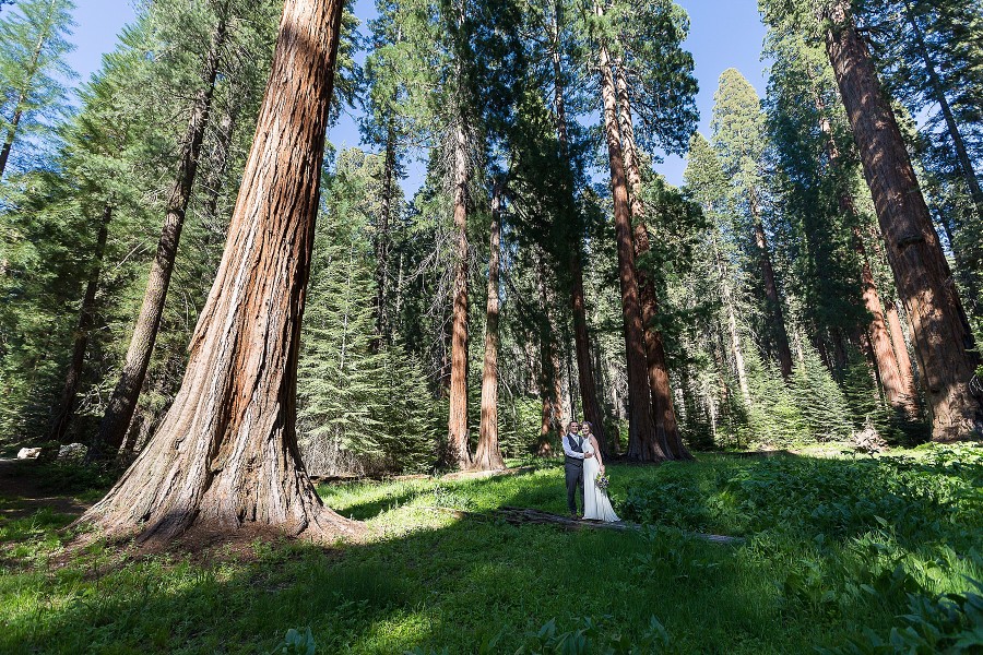 white horse inn sequoia wedding