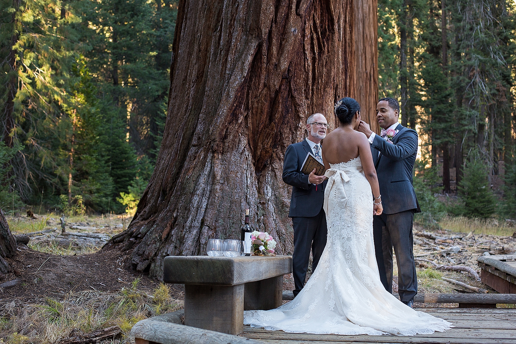 intimate sequoia wedding