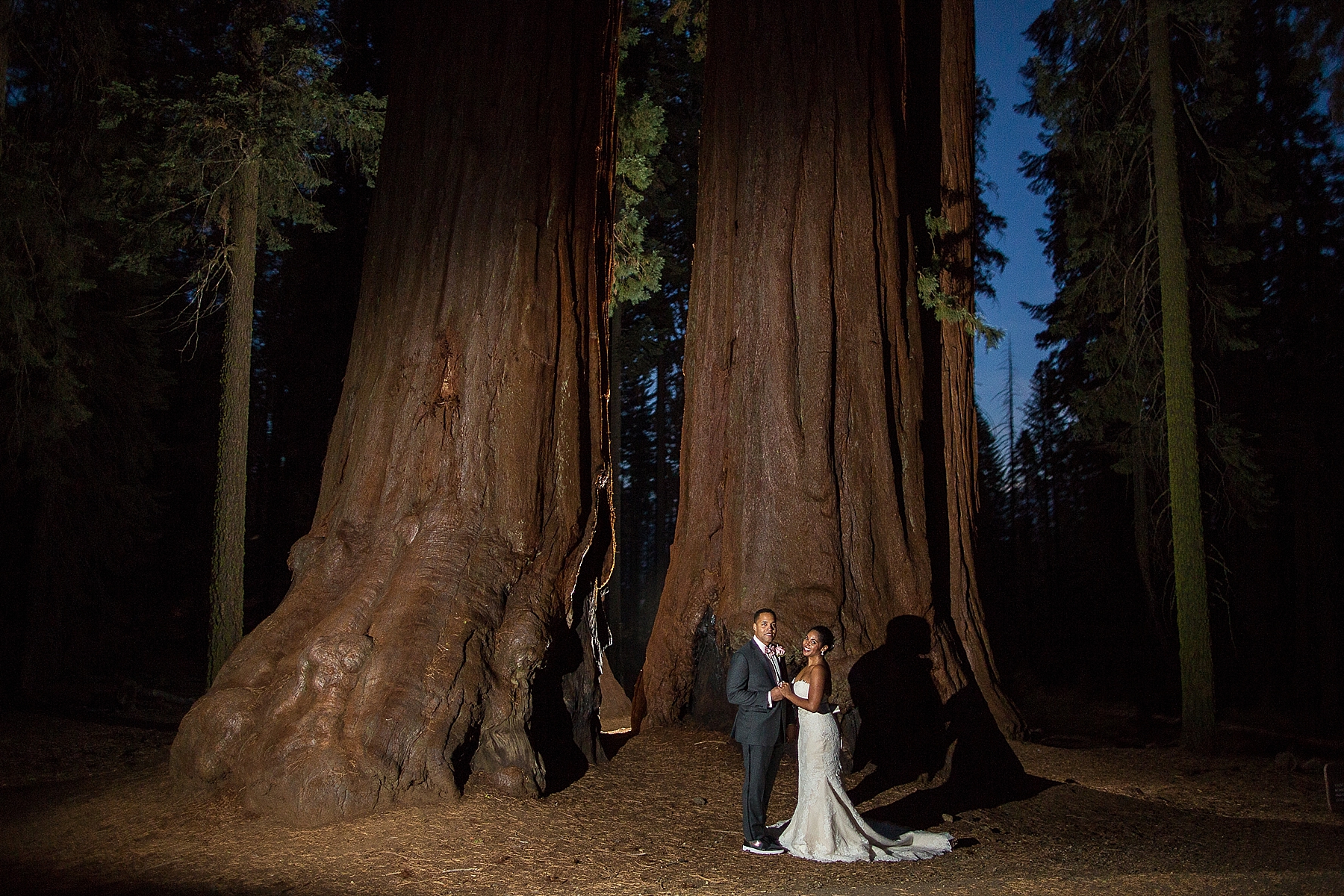 intimate sequoia wedding