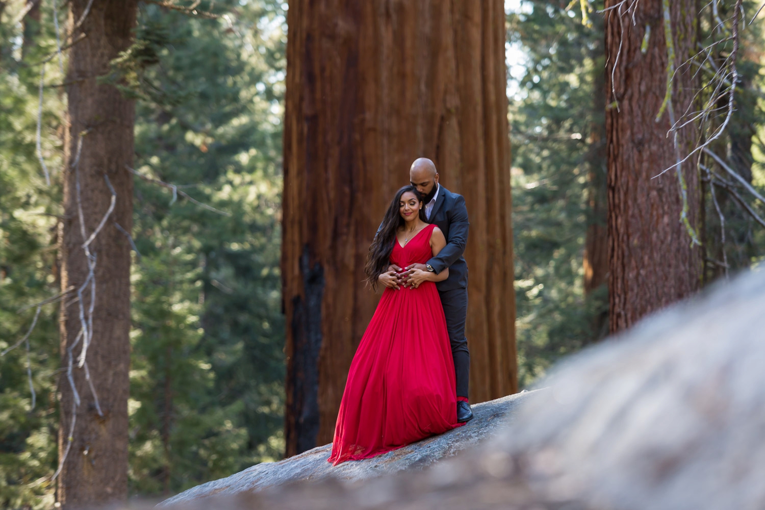 Romantic Sequoia National Park Engagement Photos