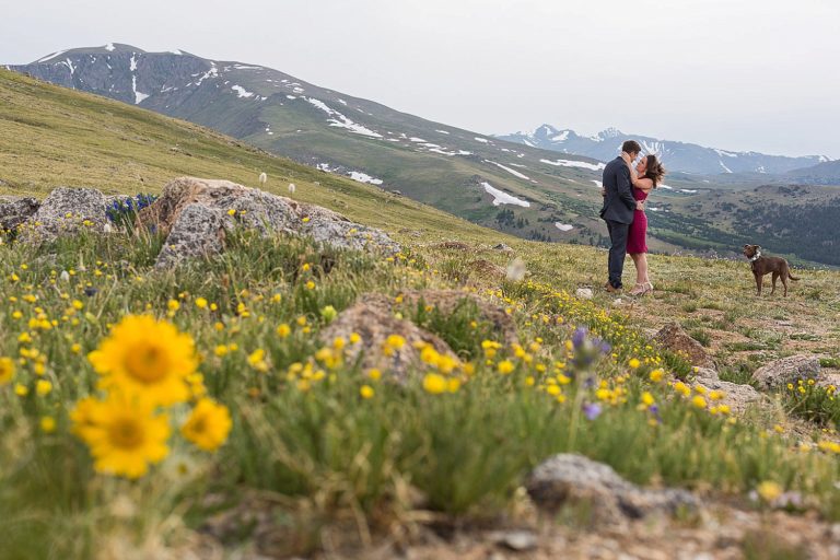 Mt Evans Wildflower Engagement Photodate | Courtney and Justin
