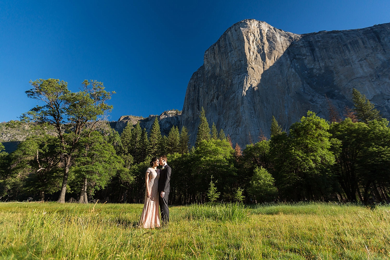 Yosemite Wedding Photographer El Cap Meadow View