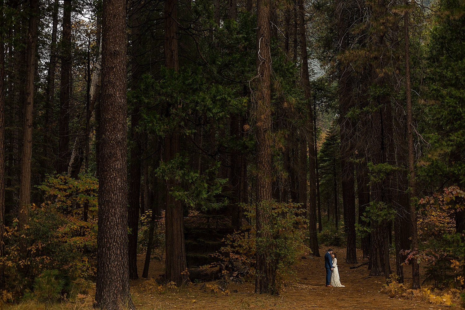 Fall Yosemite Valley wedding