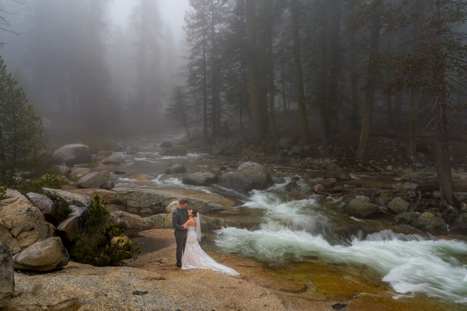 Sequoia National Park Wedding Portraits Lodgepole