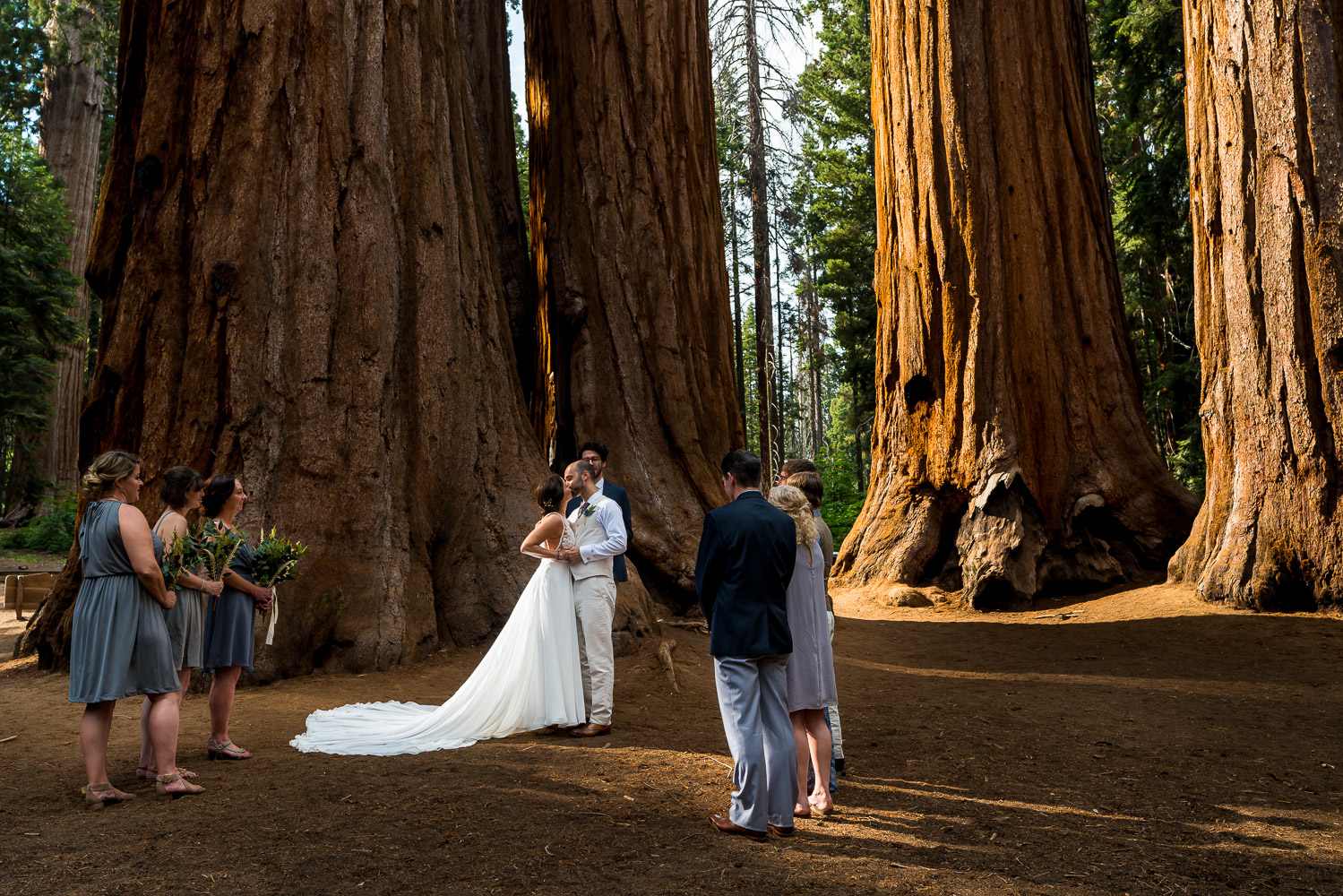 Sequoia Elopement Photography Ceremony