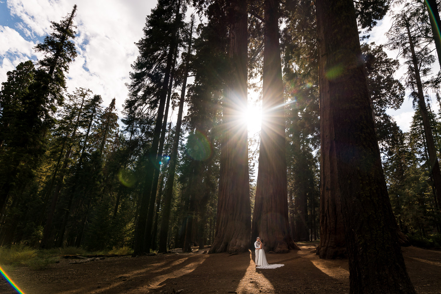 Sequoia Elopement Photography Couple Portraits