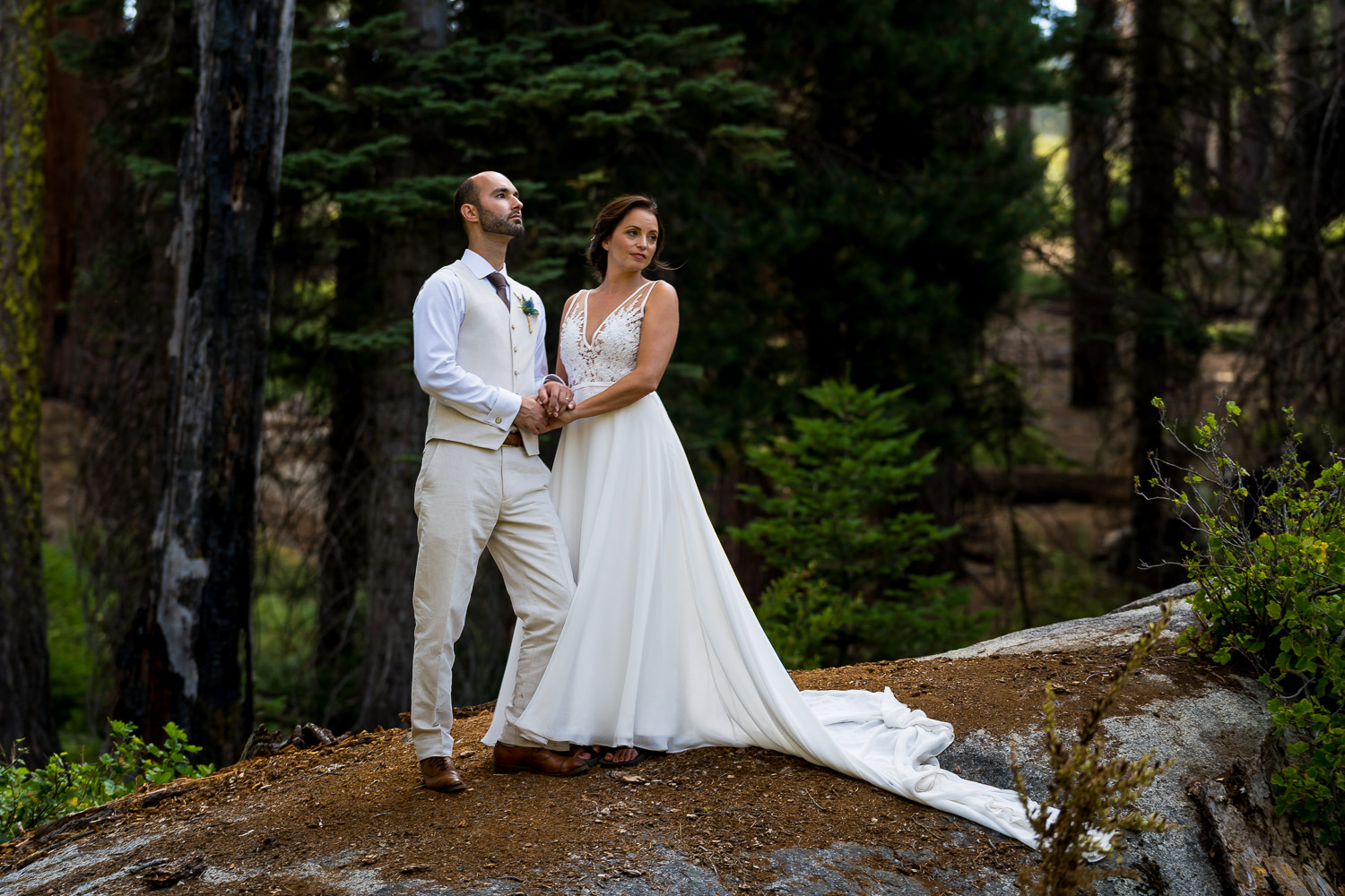 Sequoia Elopement Photography Couple Portraits
