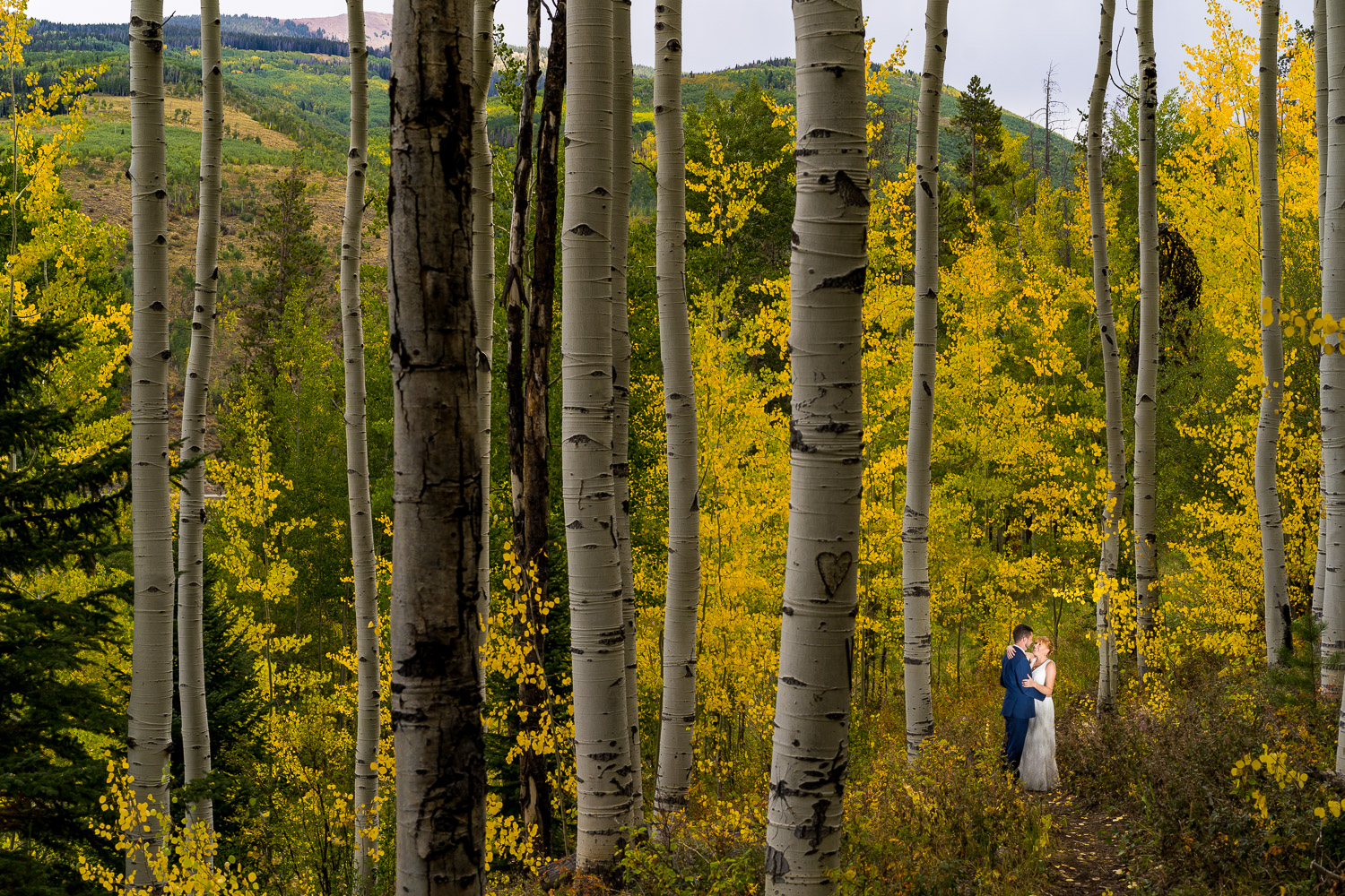 Vail Wedding Deck Fall Couple Portraits in Aspen Trees Fall Colors
