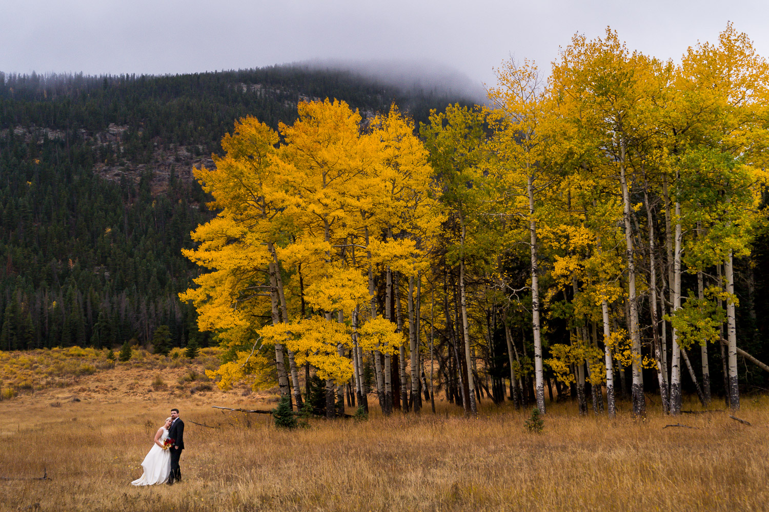 Black Canyon Inn Wedding with Portraits in Rocky Mountain National Park
