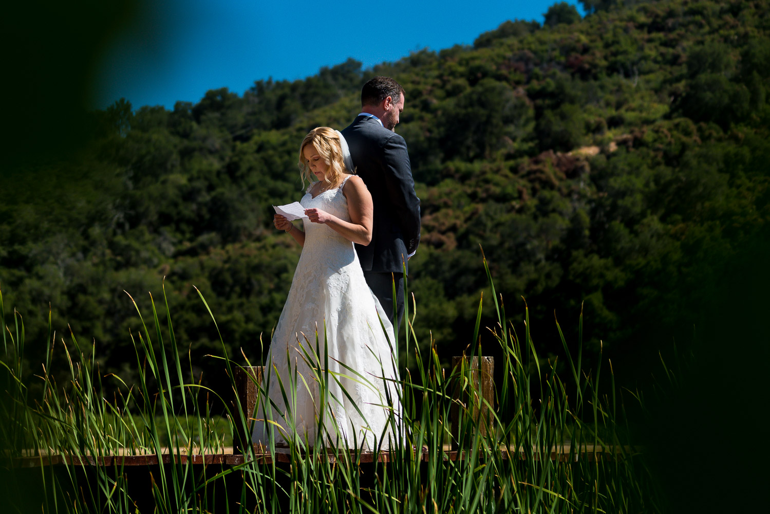 Halter Ranch Wedding Vow Exchange over pond