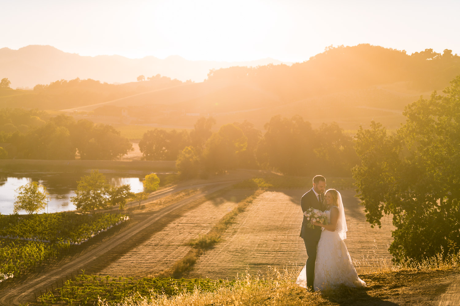 Halter Ranch Wedding Sunset Portraits in vineyard