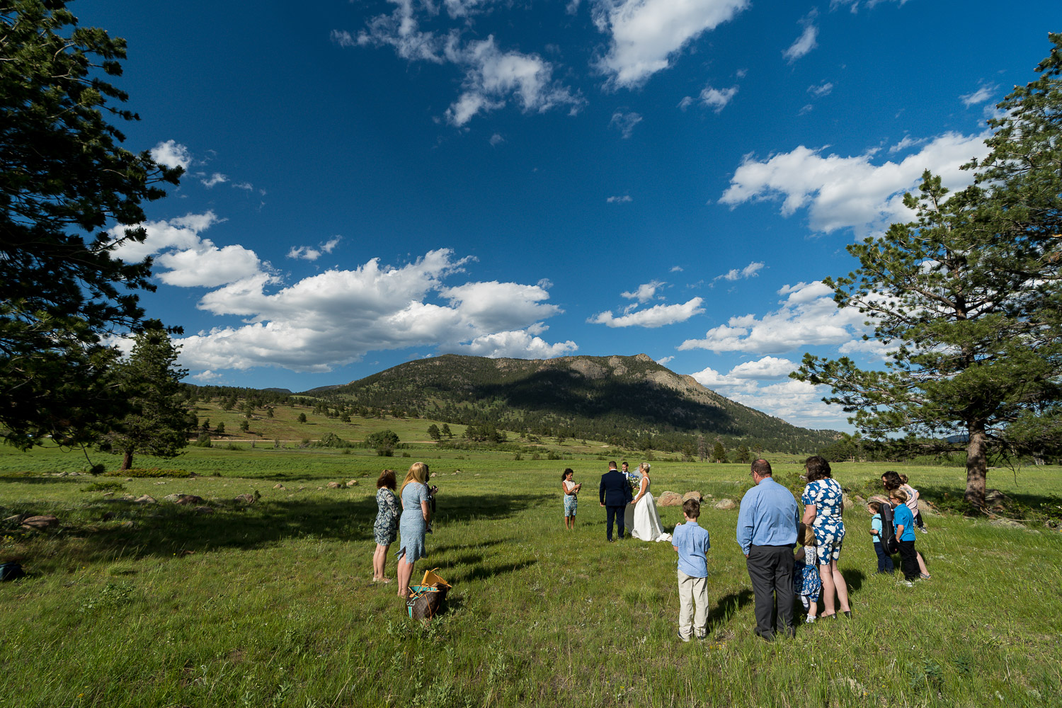 Rocky Mountain National Park Elopement Photographer Open Meadow