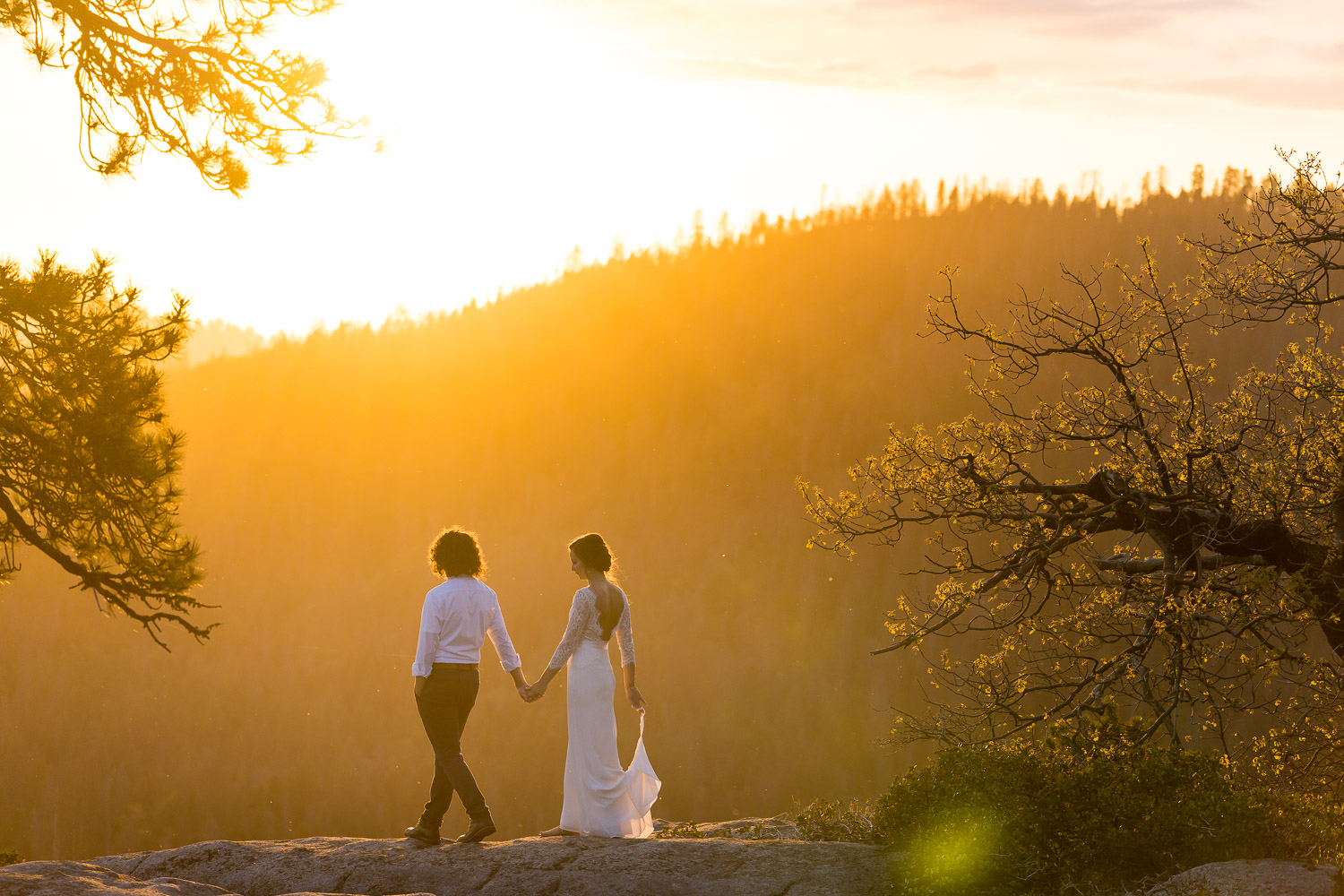 Intimate Sequoia Wedding Photos