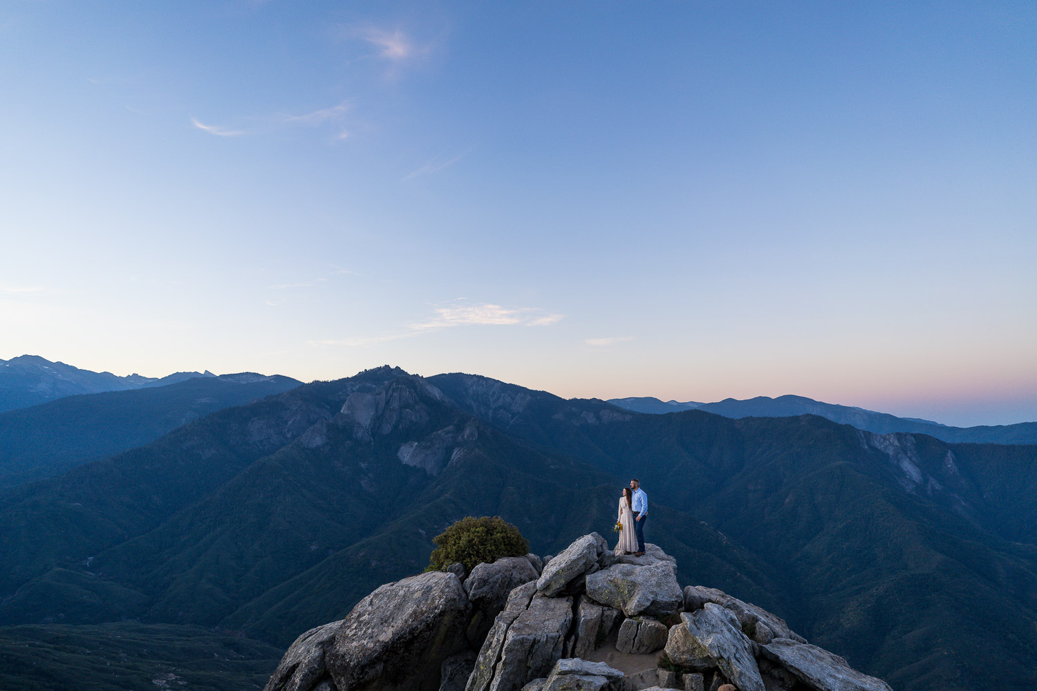 wedding in sequoia national park