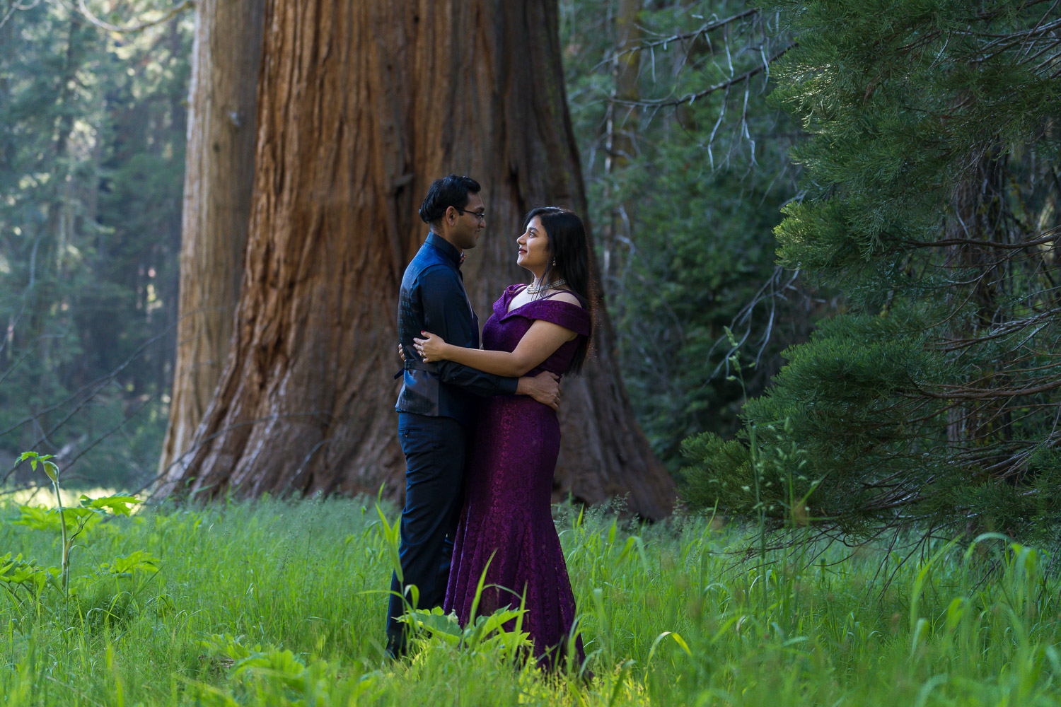 sequoia national park engagement photos