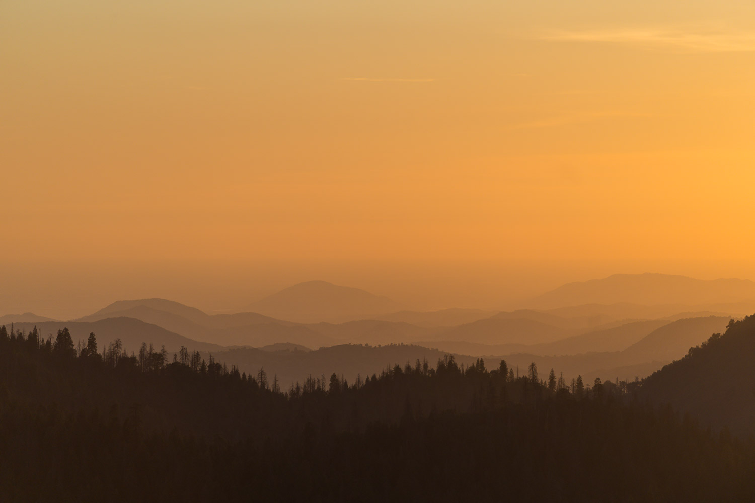 sequoia national park sunset