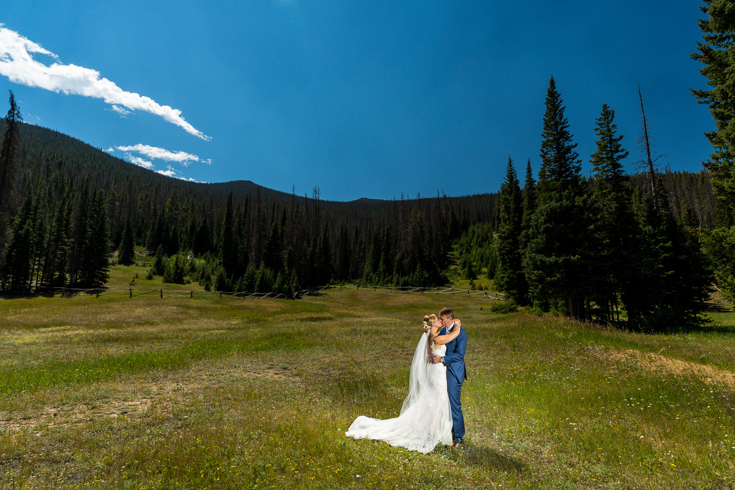 micro wedding rocky mountain national park