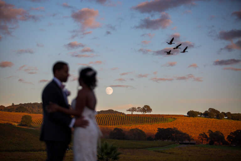 What to Know Before Choosing a Wedding Destination