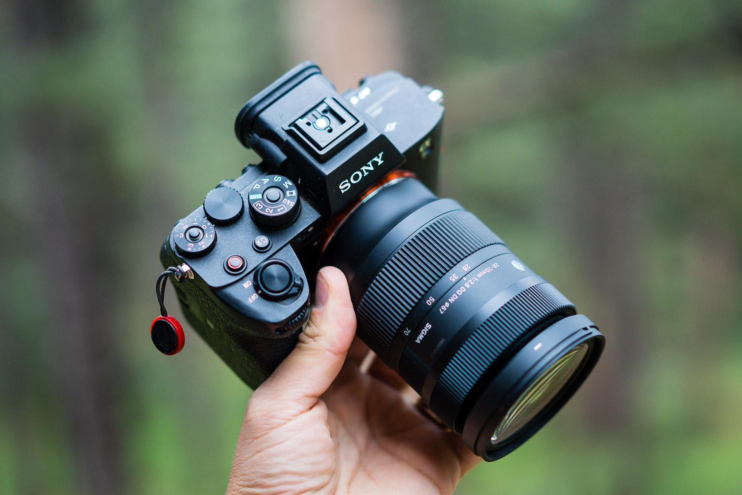 sony cameras and lenses for photography